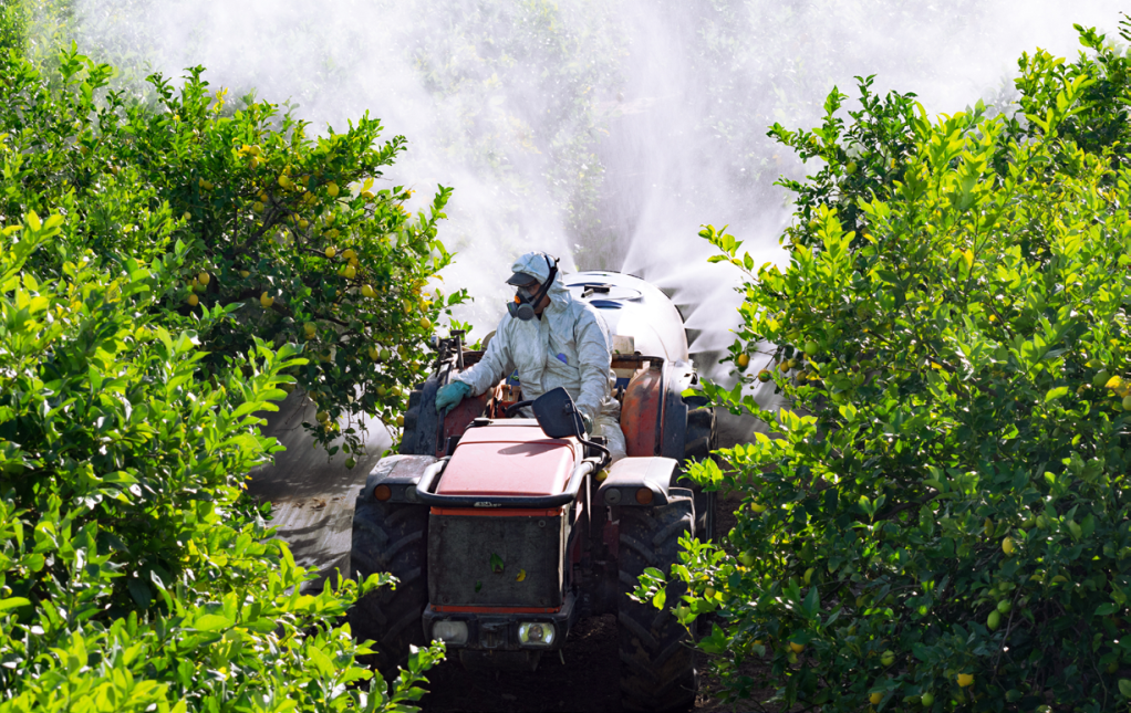 可變光程浸入式探頭測量農(nóng)達草甘膦的吸光度